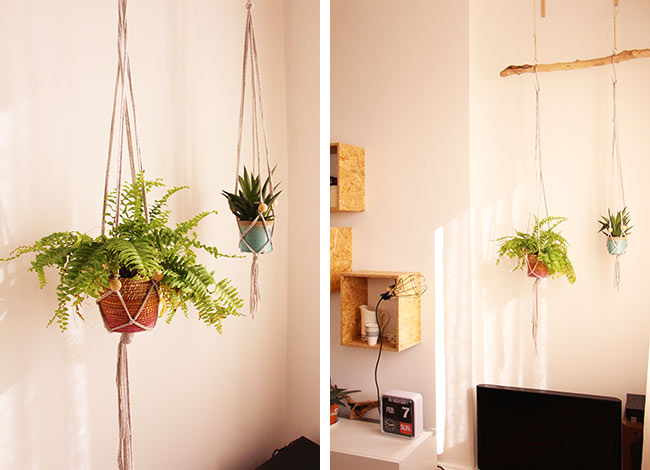 Mes plantes suspendues