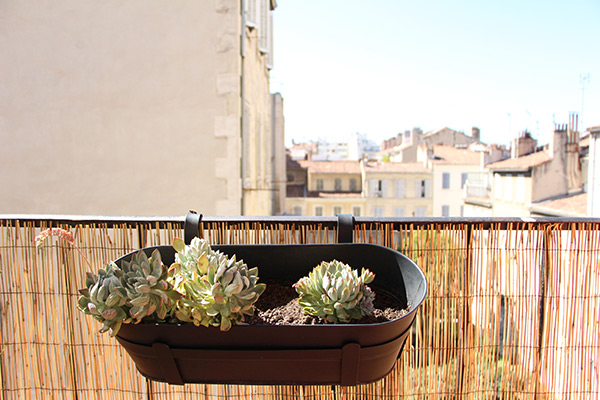 Mon balcon marseillais