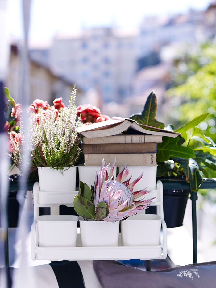 Petit balcon : quelques idées pour l'aménager blueberry ... Balcon Petit inspiration